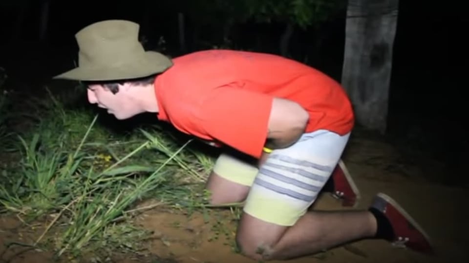 Kop mezi nohy? Neuvěřitelná bolest